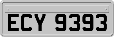 ECY9393