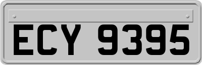 ECY9395