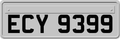 ECY9399