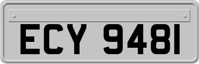 ECY9481