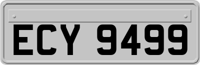 ECY9499
