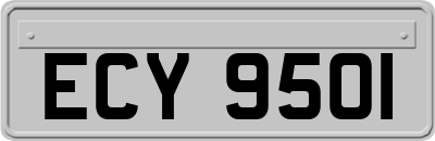 ECY9501