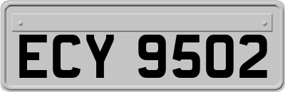 ECY9502