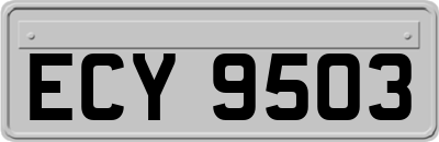 ECY9503