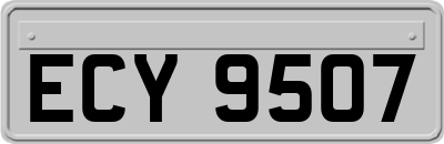 ECY9507