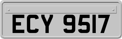 ECY9517