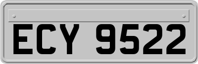 ECY9522