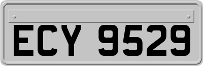 ECY9529