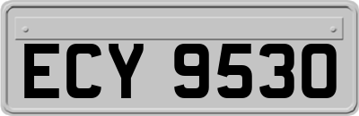 ECY9530