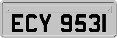 ECY9531