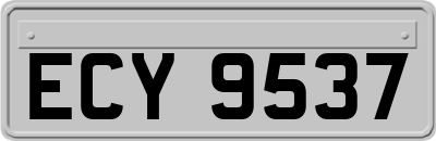ECY9537