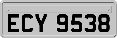 ECY9538