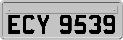 ECY9539