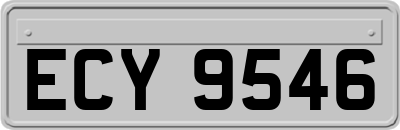 ECY9546