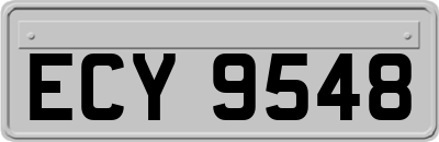 ECY9548