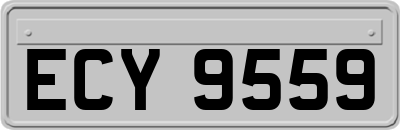 ECY9559