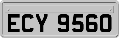 ECY9560