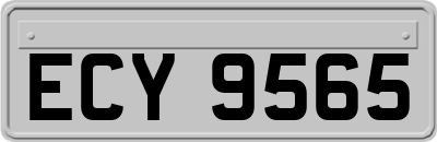 ECY9565