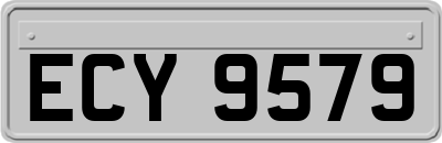 ECY9579