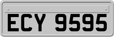 ECY9595
