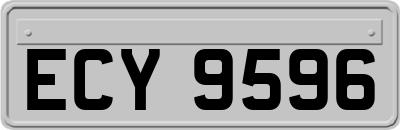 ECY9596