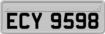 ECY9598