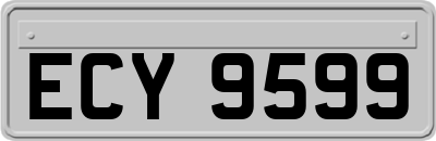 ECY9599