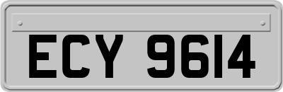 ECY9614