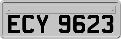 ECY9623