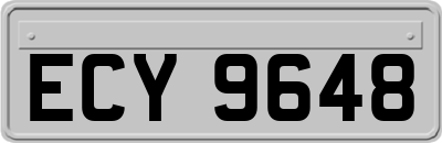 ECY9648