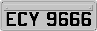 ECY9666