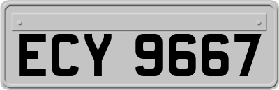 ECY9667
