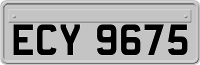 ECY9675