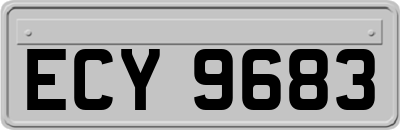 ECY9683
