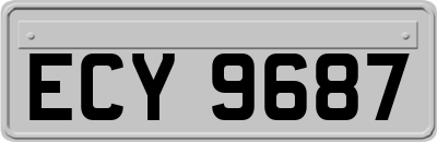ECY9687