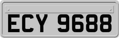 ECY9688