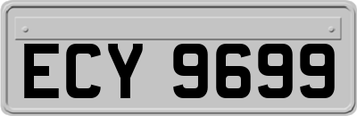 ECY9699