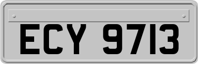 ECY9713