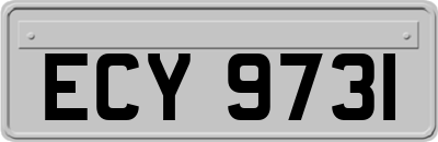 ECY9731