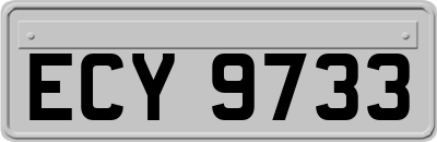 ECY9733