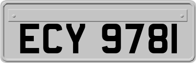 ECY9781