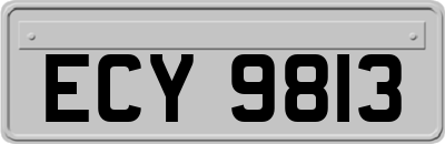 ECY9813