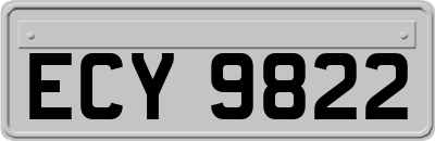 ECY9822