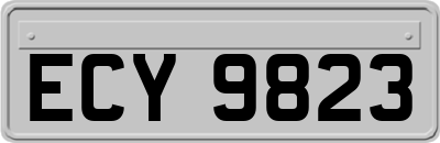 ECY9823