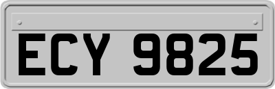 ECY9825