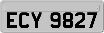 ECY9827