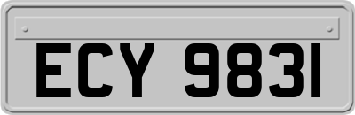 ECY9831