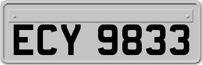 ECY9833
