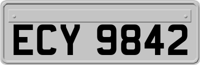 ECY9842