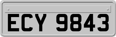 ECY9843